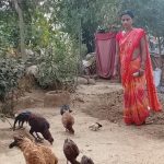 संघर्ष से सफलता तक का सफर , पांचो जयते बनी सफल महिला उद्यमी